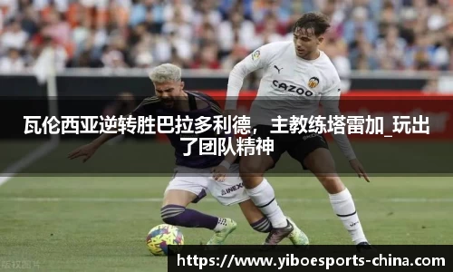 亿博电竞官方正版